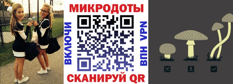 Купить  Шацк  Псилоцибиновые грибы мицелий 