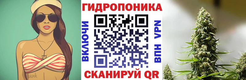 Купить где  Шацк  Каннабис индика 
